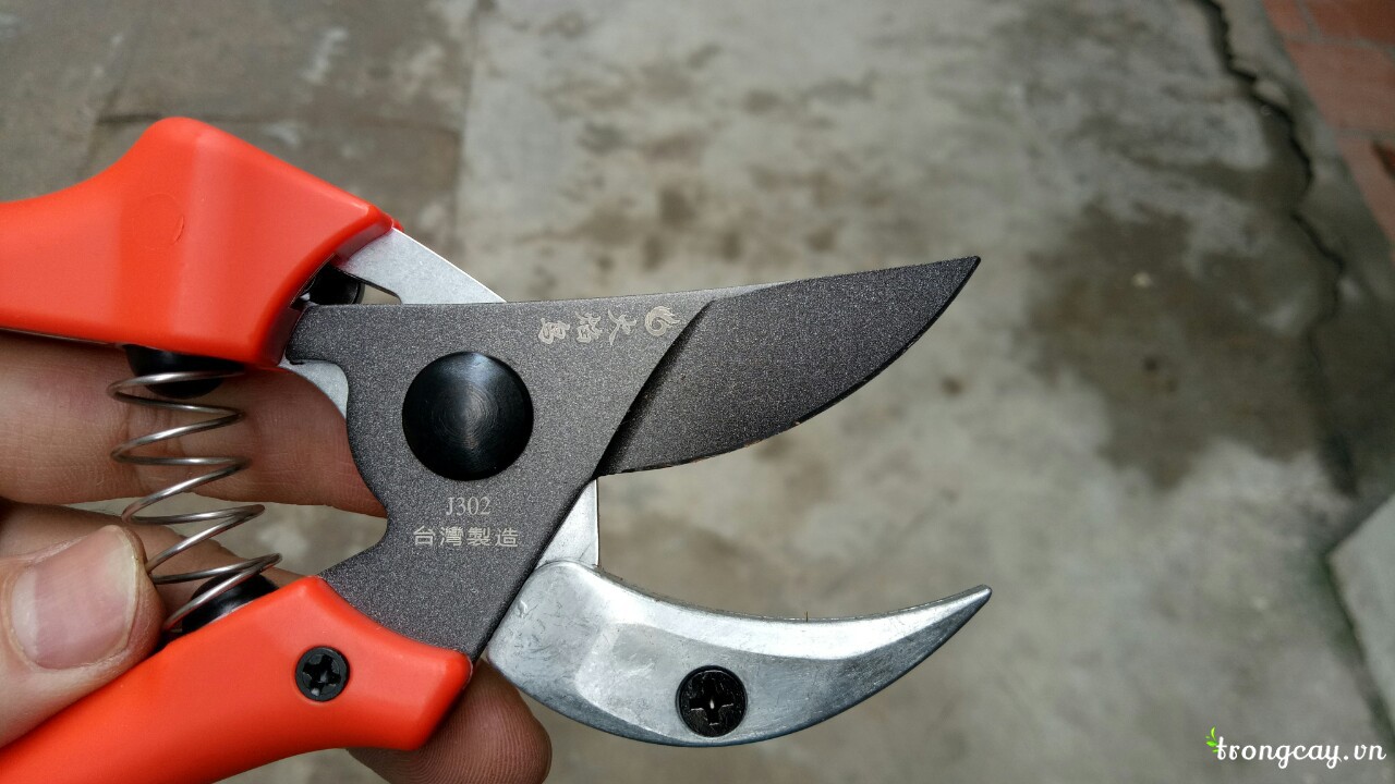 kéo cắt cành nhật bản