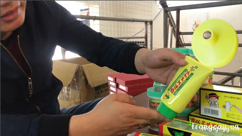 Keo liền seo cây Made in Japan