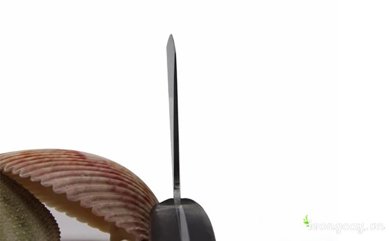 lưỡi dao chặt nhật bản