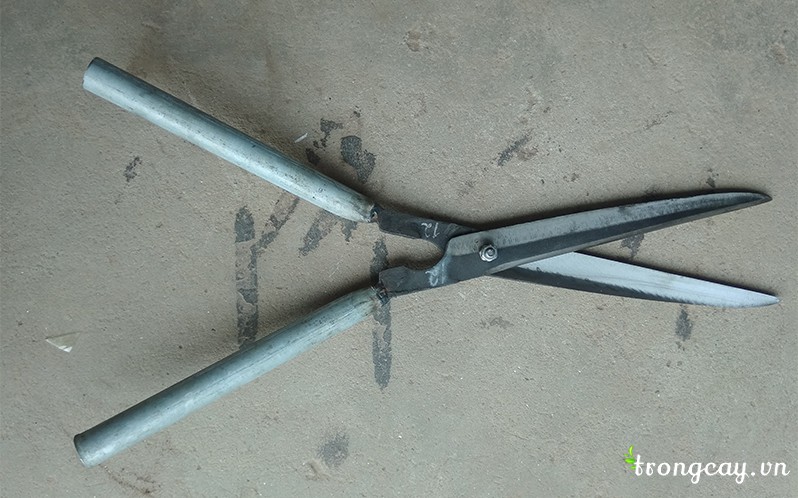 kéo xén tán , kéo cắt hàng rào