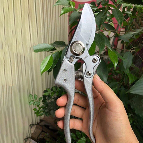 Mua Kéo SaDA 210 ở đâu tốt nhất