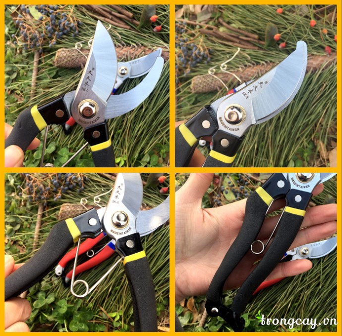 kéo đài loan giá rẻ