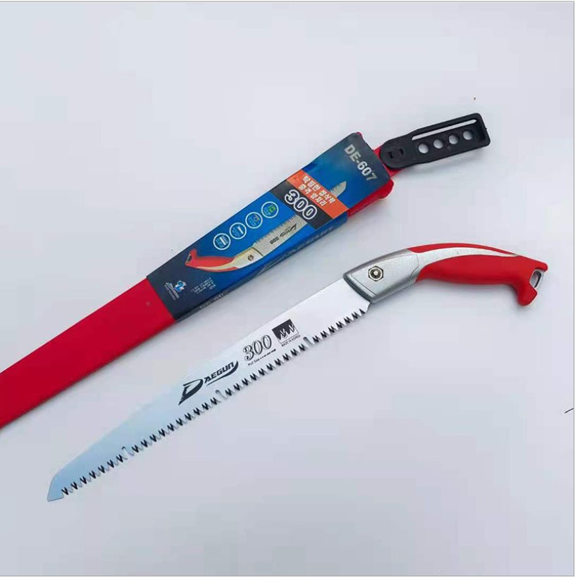 CƯA DAEGUN Hàn Quốc