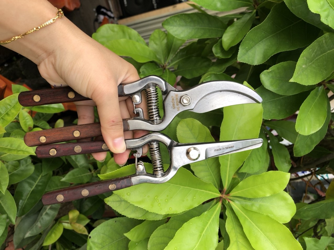 kéo thép đúc tay gỗ