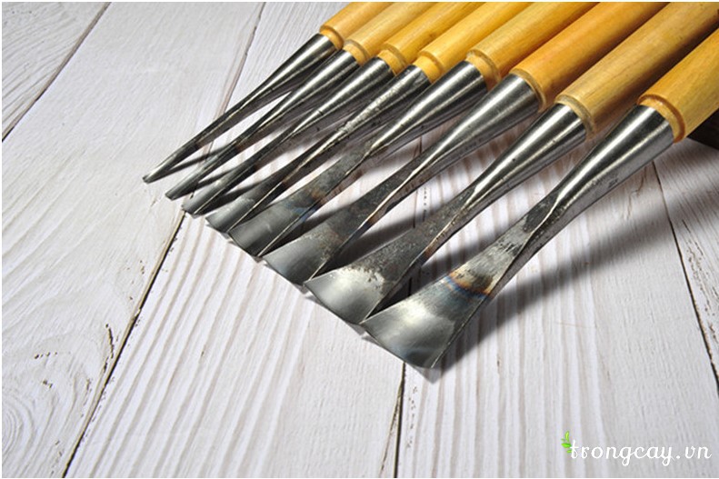 bộ đục bonsai đài loan cao cấp