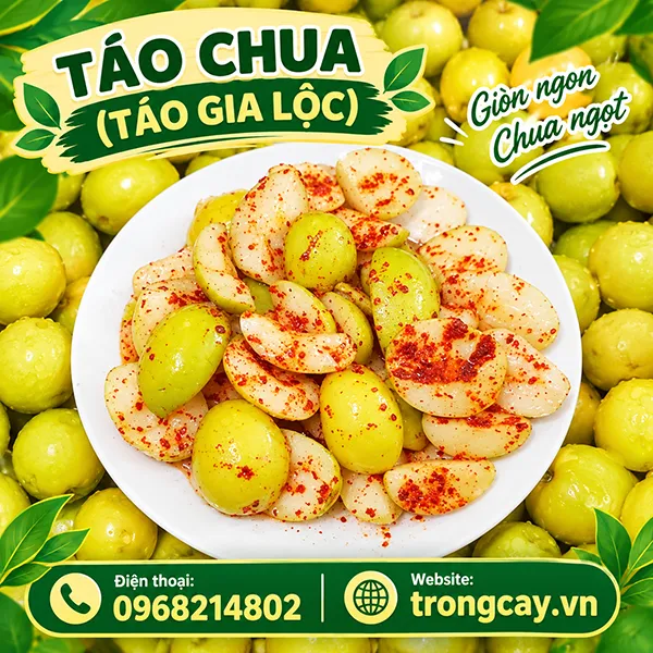 Cây Táo Chua (Cây Táo Gia Lộc) Bao Nhiêu Tiền Và Mua Ở Đâu