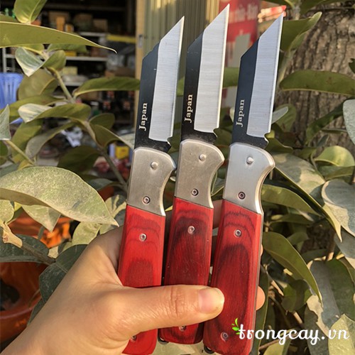 Dao ghép nhật bản