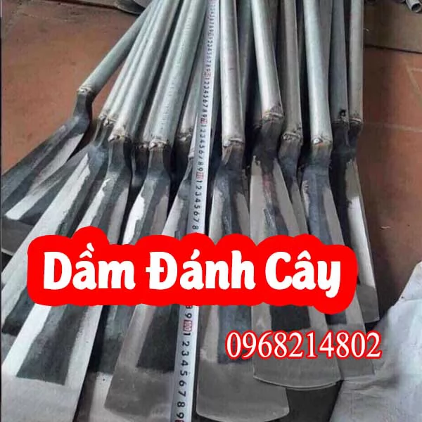 Mua Dầm Thuổng Đánh Cây, Dầm Đánh Cây Ở Đâu Và Bao Nhiêu Tiền