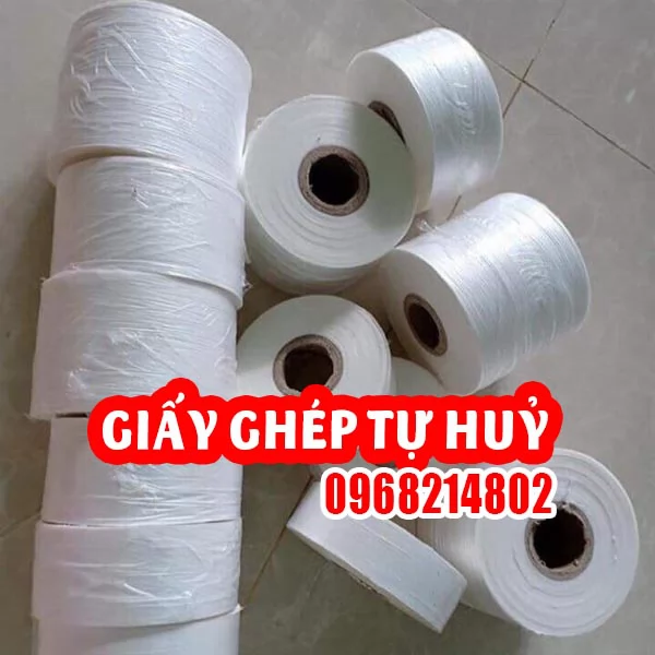 Giấy Ghép Cây(băng keo) giúp tỉ lệ thành công nên 99%