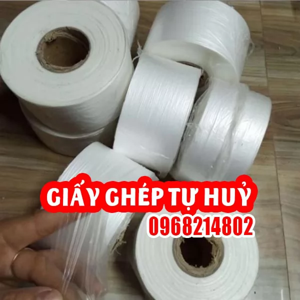 Giấy Ghép Cây(băng keo) giúp tỉ lệ thành công nên 99%