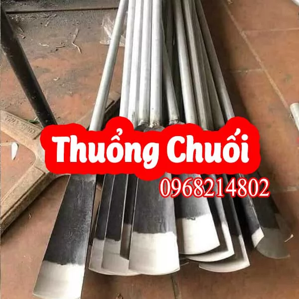 Mua Dầm Đánh Bầu Cây Cổ Cò Ở Đâu Và Bao Nhiêu Tiền 