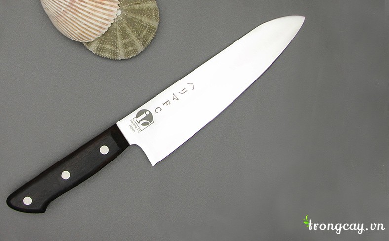 dao nhật narihira nội đoi nhật bản