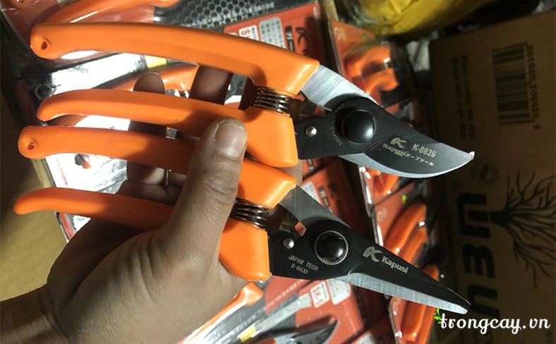 Bộ đô kéo cắt và tỉa kapusi nhật