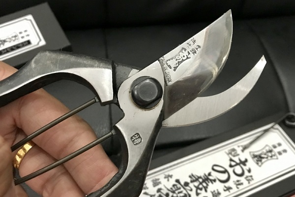 Bạn có thể lựa chọn mua sản phẩm kéo cắt cành Nhật Bạn tại website của chúng tôi.