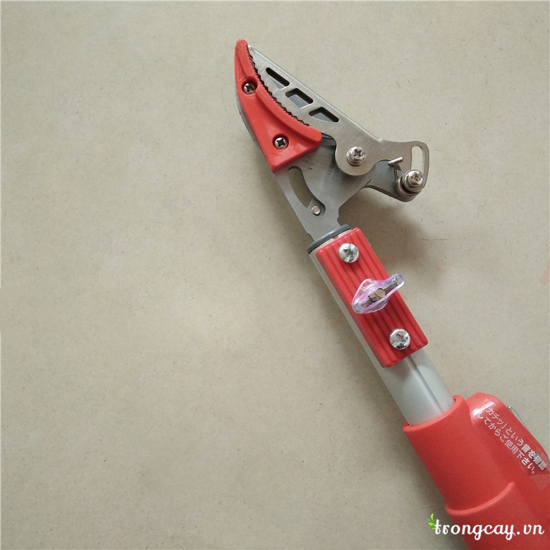 đầu kéo hái quả