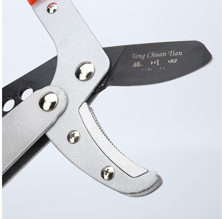 Kéo cắt cành cộng lực chỉ sử dụng một lực nhỏ có thể loại bỏ được những cành cây có đường kính vài cm.