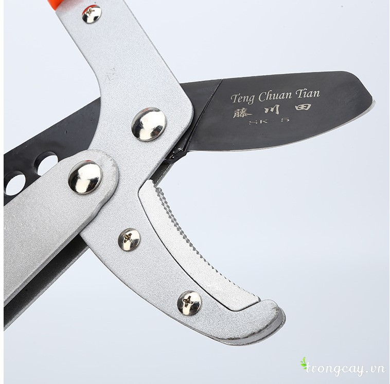 lưỡi cắt kéo cộng lực tay dài
