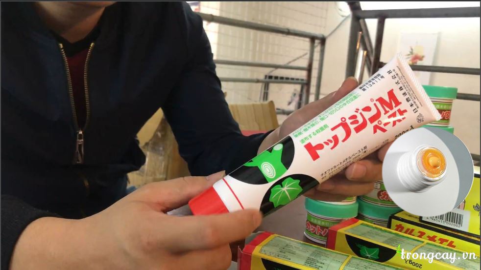 keo liền sẹo nhật bản túy trắng