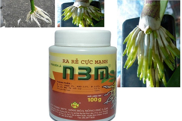 Thuốc kích rễ N3M kích thích ra rễ cây cực mạnh và chắc khỏe.