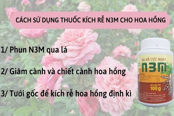 Cách sử dụng thuốc kích rễ N3M