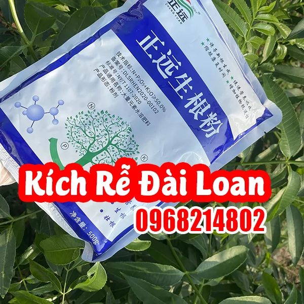 Mua Thuốc Kích Rễ Đài Loan Trung Quốc (Chính Viễn Sinh Căn Phấn (正远生根粉)