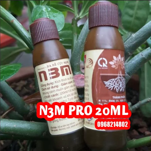 Thuốc kích rễ N3M: Công dụng, hướng dẫn cách sử dụng và địa chỉ bán uy tín