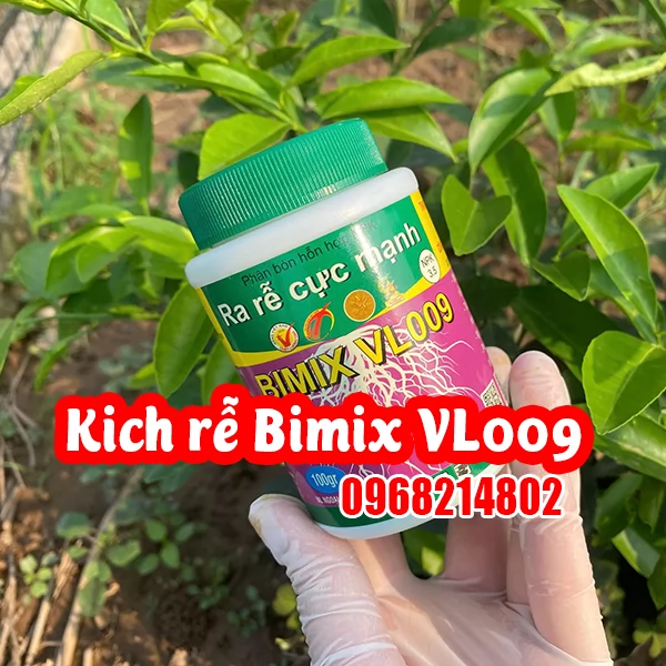 Kích Rễ Bimix VL009 – Giải Pháp Kích Thích Rễ Mạnh Mẽ Cho Cây Trồng