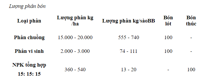 Lượng phân bón trồng cây cỏ ngọt