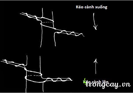 cách uốn đây nhôm