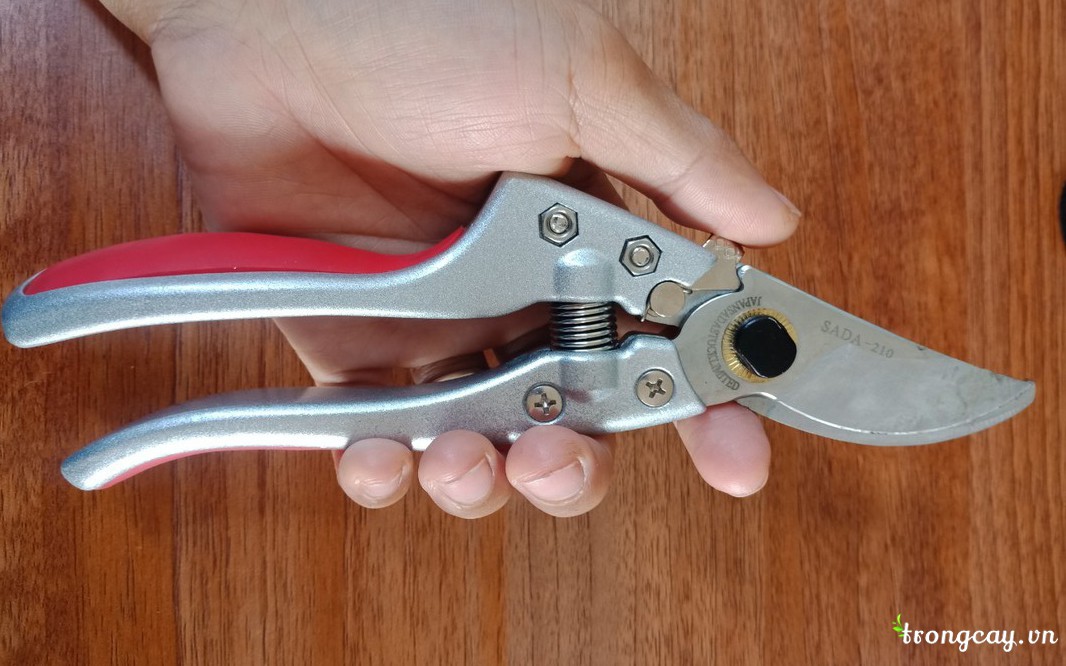 Mua kéo SAda chính hãng