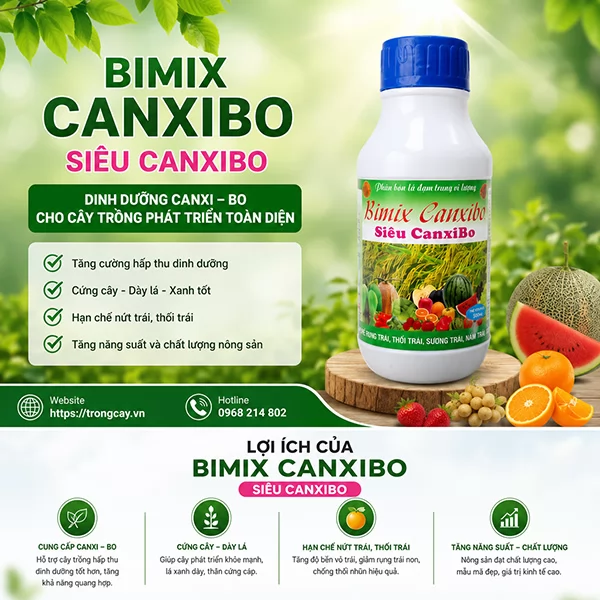 Hướng Dẫn Sử Dụng BIMIX CANXI – SIÊU CANXIBO
