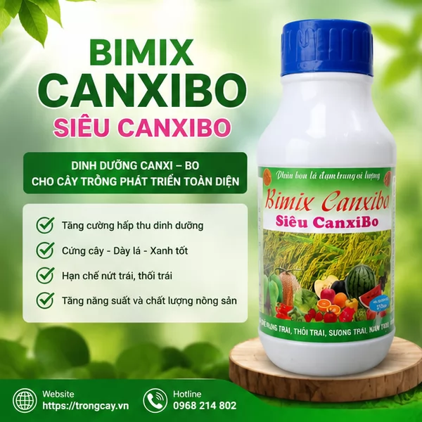 Hướng Dẫn Sử Dụng BIMIX CANXI – SIÊU CANXIBO