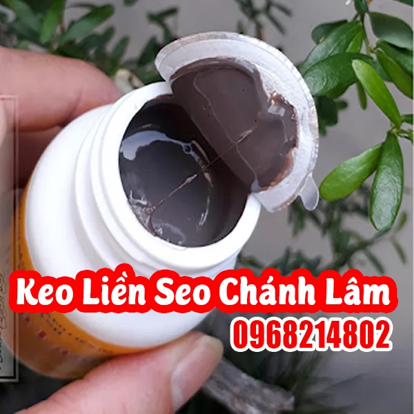  Keo Liền Sẹo Chánh Lâm – Giải Pháp Chuyên Dụng Cho Cây Cảnh