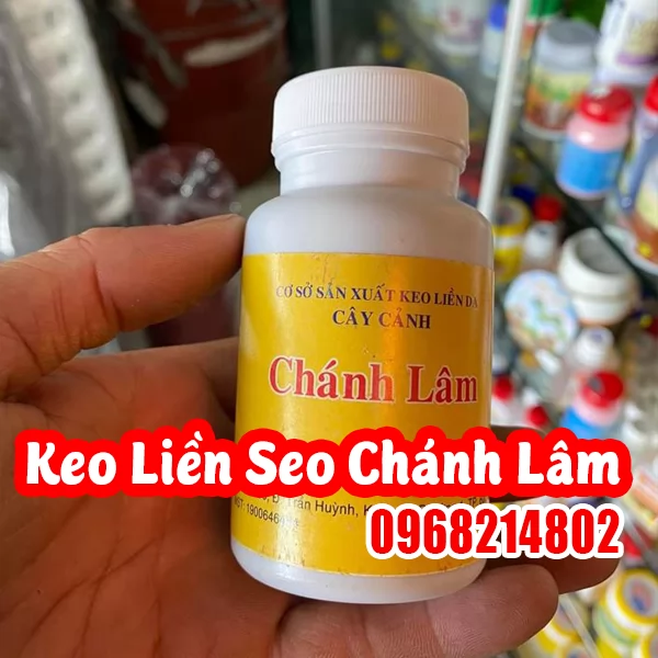  Keo Liền Sẹo Chánh Lâm – Giải Pháp Chuyên Dụng Cho Cây Cảnh