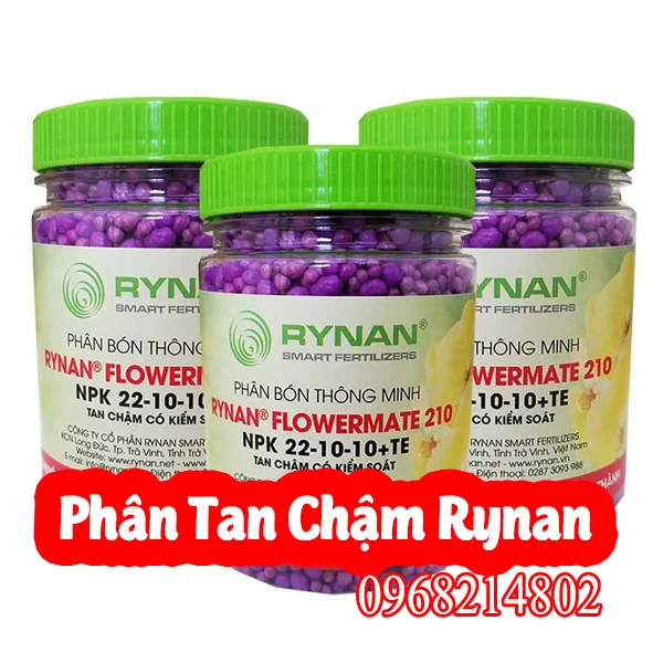 Mua Phân Tan Chậm Rynan Ở Đâu Và Bao Nhiêu Tiền