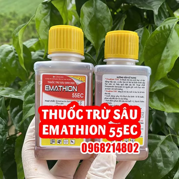 EMATHION 55EC – Giải pháp sinh học tối ưu bảo vệ cây trồng