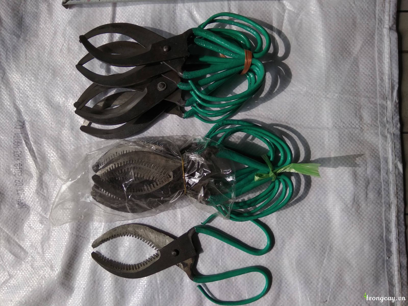 kéo khoanh  và tiện cây ăn quả