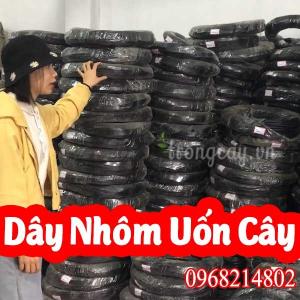 Dây Nhôm mạ đồng , Dây Uốn Cây ,Dây nhôm tạo thế BonSai