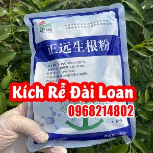 Mua Thuốc Kích Rễ Đài Loan Trung Quốc (Chính Viễn Sinh Căn Phấn (正远生根粉)