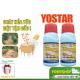 Yostar 200SL - Giải Pháp Hiệu Quả Trong Việc Diệt Cỏ Dại