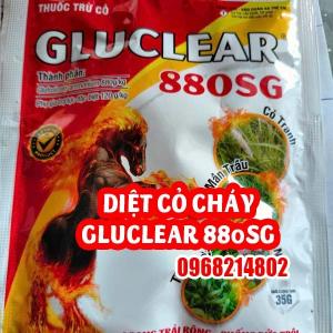 Gluclear 880SG – Thuốc Diệt Cháy Hiệu Quả Cao