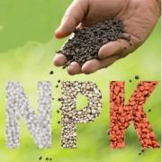 Phân NPK Là Gì? Tác Dụng, Phân Loại Và Cách Sử Dụng Hiệu Quả