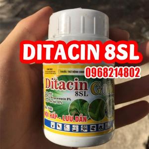 DITACIN 8SL - THUỐC TRỪ SÂU SINH HỌC THẾ HỆ MỚI