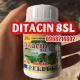 DITACIN 8SL - THUỐC TRỪ SÂU SINH HỌC THẾ HỆ MỚI